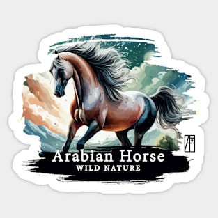 Arabian Horse - WILD NATURE - HORSE -8 Sticker